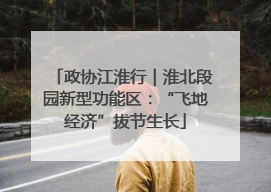 政协江淮行｜淮北段园新型功能区：“飞地经济”拔节生长