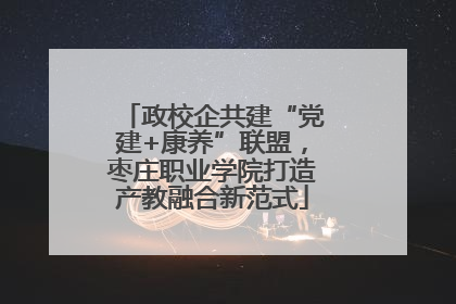 政校企共建“党建+康养”联盟，枣庄职业学院打造产教融合新范式