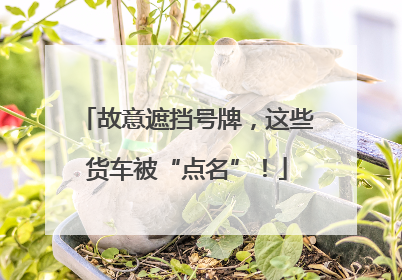 故意遮挡号牌，这些货车被“点名”！