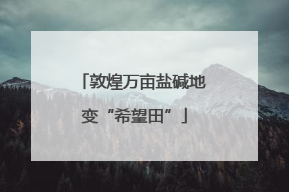 敦煌万亩盐碱地变“希望田”