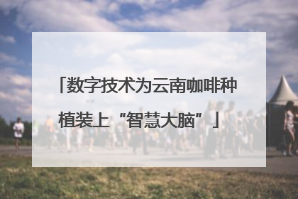 数字技术为云南咖啡种植装上“智慧大脑”