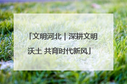 文明河北｜深耕文明沃土 共育时代新风