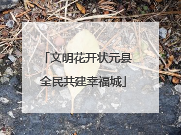 文明花开状元县 全民共建幸福城