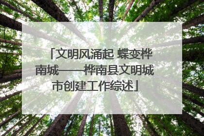 文明风涌起 蝶变桦南城——桦南县文明城市创建工作综述