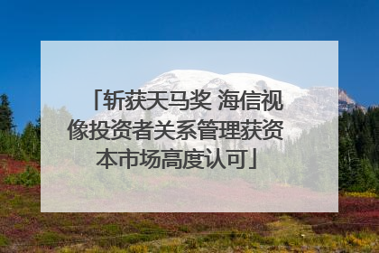 斩获天马奖 海信视像投资者关系管理获资本市场高度认可
