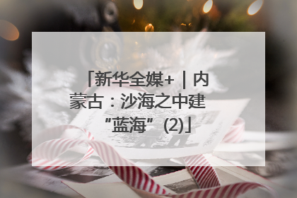 新华全媒+｜内蒙古：沙海之中建“蓝海”(2)