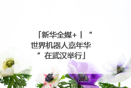 新华全媒+丨“世界机器人嘉年华”在武汉举行