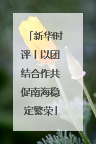新华时评丨以团结合作共促南海稳定繁荣
