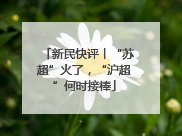 新民快评丨“苏超”火了，“沪超”何时接棒