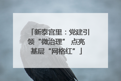 新泰宫里：党建引领“微治理” 点亮基层“网格红”