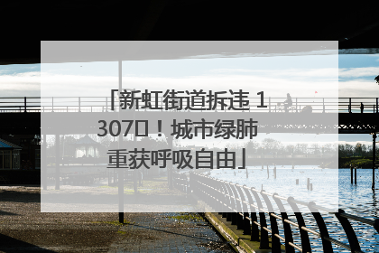 新虹街道拆违 1307㎡！城市绿肺重获呼吸自由