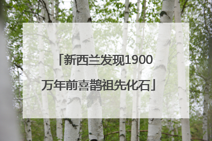 新西兰发现1900万年前喜鹊祖先化石