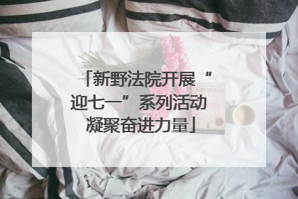 新野法院开展“迎七一”系列活动 凝聚奋进力量