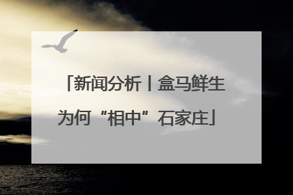 新闻分析丨盒马鲜生为何“相中”石家庄