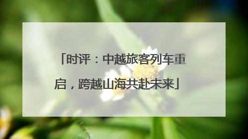 时评：中越旅客列车重启，跨越山海共赴未来