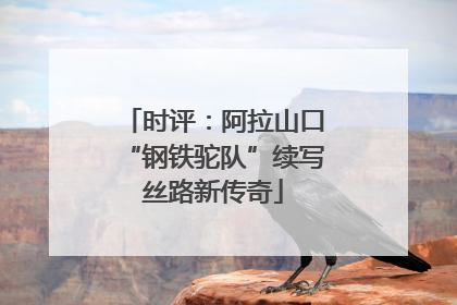 时评：阿拉山口“钢铁驼队”续写丝路新传奇