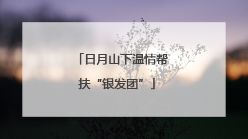 日月山下温情帮扶“银发团”