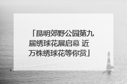 昆明郊野公园第九届绣球花展启幕 近万株绣球花等你赏