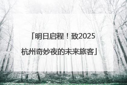 明日启程！致2025杭州奇妙夜的未来旅客