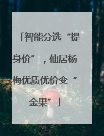 智能分选“提身价”，仙居杨梅优质优价变“金果”
