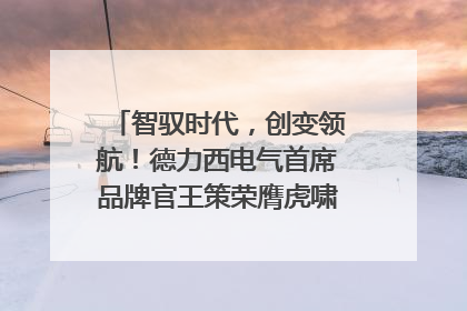 智驭时代，创变领航！德力西电气首席品牌官王策荣膺虎啸奖年度品牌人物