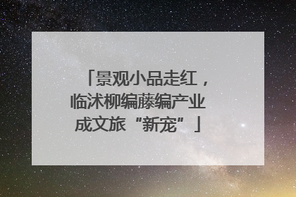 景观小品走红，临沭柳编藤编产业成文旅“新宠”