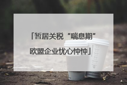 暂居关税“喘息期” 欧盟企业忧心忡忡