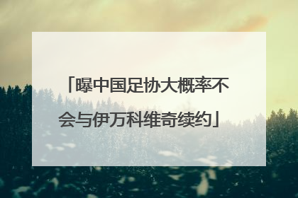曝中国足协大概率不会与伊万科维奇续约