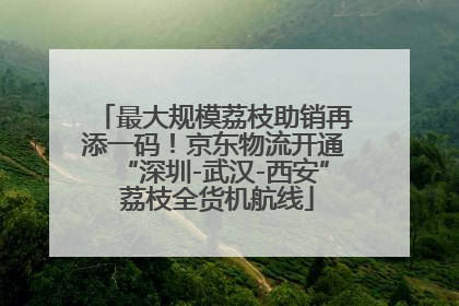 最大规模荔枝助销再添一码！京东物流开通“深圳-武汉-西安” 荔枝全货机航线