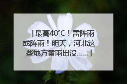 最高40℃！雷阵雨或阵雨！明天，河北这些地方雷雨出没……