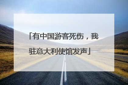 有中国游客死伤，我驻意大利使馆发声