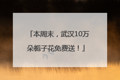 本周末，武汉10万朵栀子花免费送！