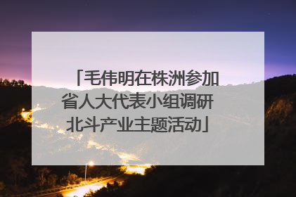 毛伟明在株洲参加省人大代表小组调研北斗产业主题活动