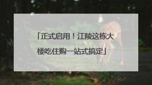 正式启用！江陵这栋大楼吃住购一站式搞定