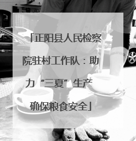 正阳县人民检察院驻村工作队：助力“三夏”生产 确保粮食安全