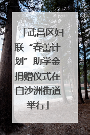 武昌区妇联“春蕾计划”助学金捐赠仪式在白沙洲街道举行