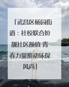 武昌区杨园街道：社校联合扮靓社区颜值 青春力量推动环保风尚