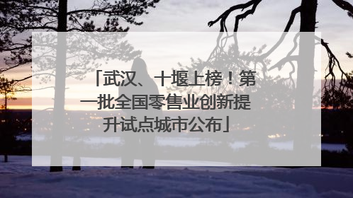 武汉、十堰上榜！第一批全国零售业创新提升试点城市公布