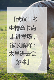 武汉一考生特意卡点走进考场，家长解释：太早进去会紧张