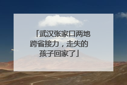 武汉张家口两地跨省接力，走失的孩子回家了