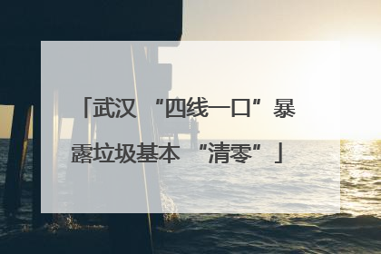武汉 “四线一口”暴露垃圾基本 “清零”