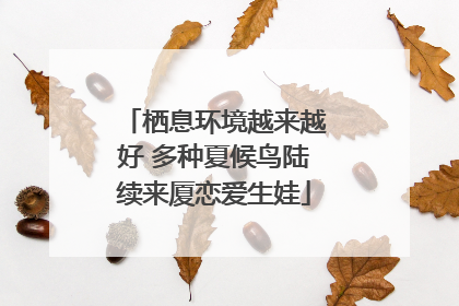 栖息环境越来越好 多种夏候鸟陆续来厦恋爱生娃
