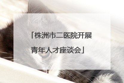 株洲市二医院开展青年人才座谈会