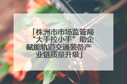 株洲市市场监管局“大手拉小手”助企赋能轨道交通装备产业链质量升级