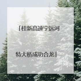 桂新高速宁远河特大桥成功合龙