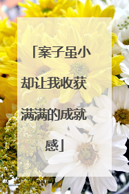 案子虽小却让我收获满满的成就感