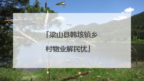 梁山县韩垓镇乡村物业解民忧
