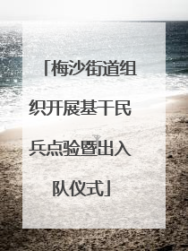 梅沙街道组织开展基干民兵点验暨出入队仪式