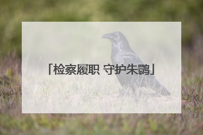 检察履职 守护朱鹮