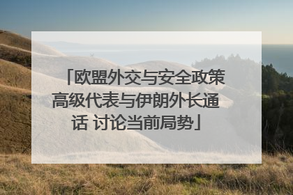 欧盟外交与安全政策高级代表与伊朗外长通话 讨论当前局势